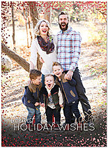 Vertical Wishes Foil Photo Card D7190U-4A